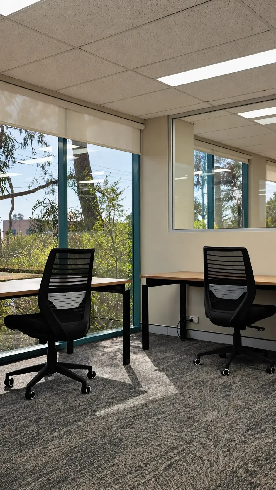 Private suite desks beside a leafy window at Local Hubb in Kirrawee
